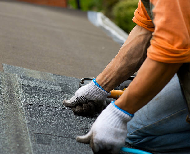 Roof Repair Estimates in Murphy, TX